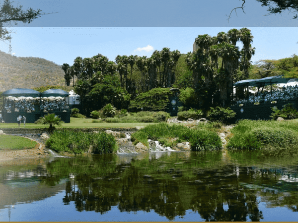 Nedbank Golf Challenge