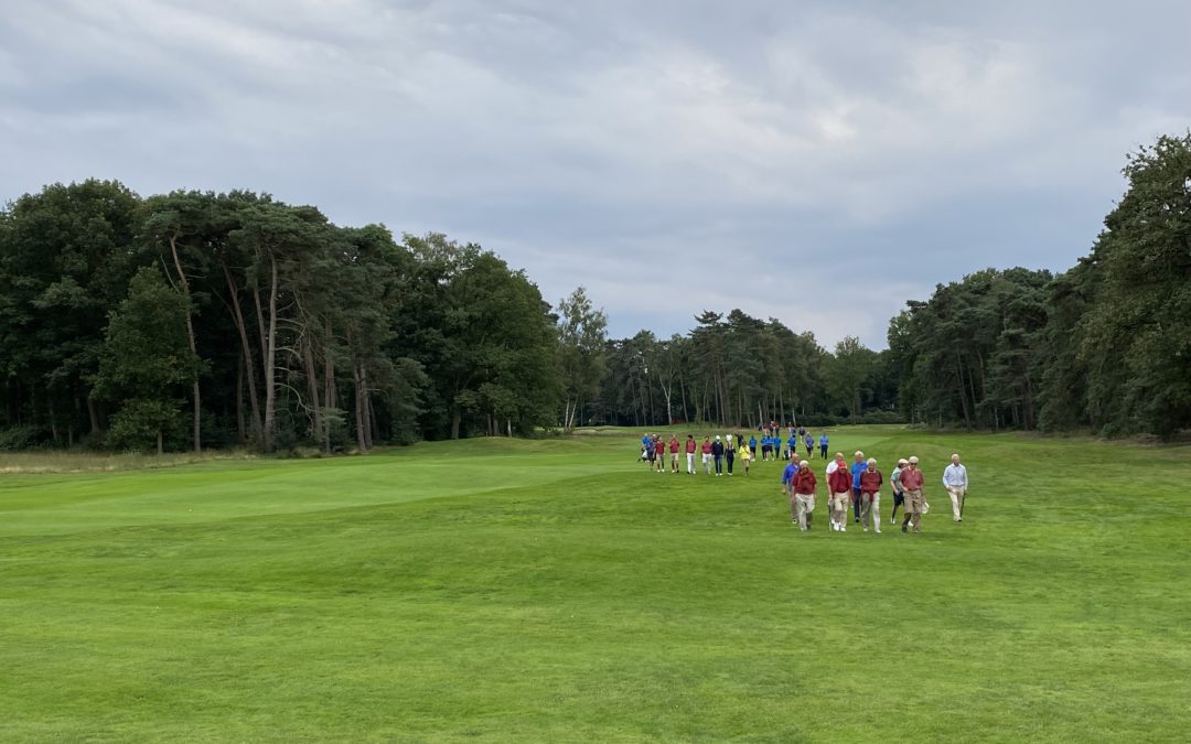 Interclubs 2021 : onze finalisten zijn bekend in M1 en L1